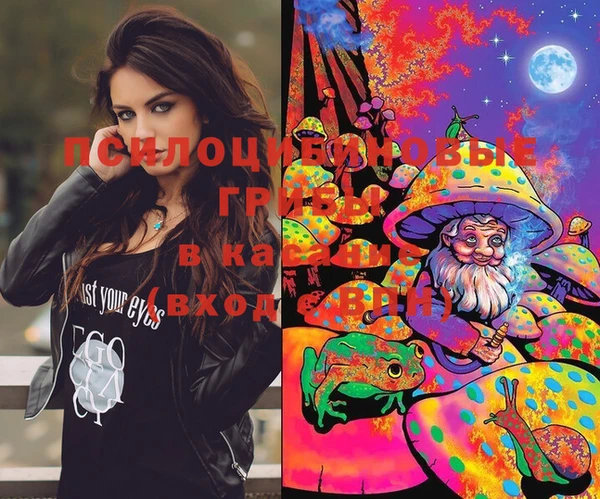 молекула духа Баксан