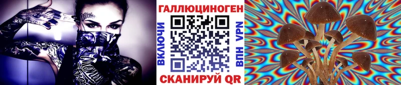купить наркотики цена  kraken вход  Галлюциногенные грибы MAGIC MUSHROOMS  Черногорск 
